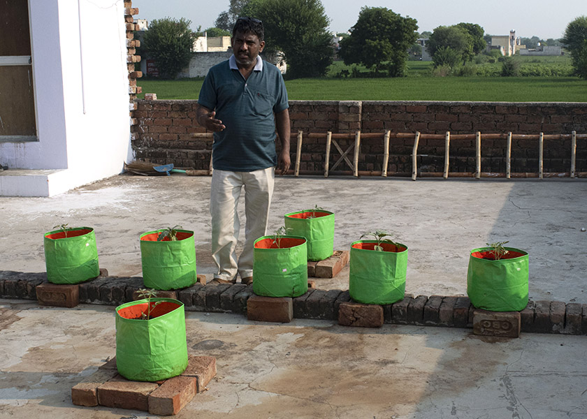 oddafip_amandine%20petroff1